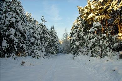 育碧已获得动视暴雪旗下所有游戏云串流权利